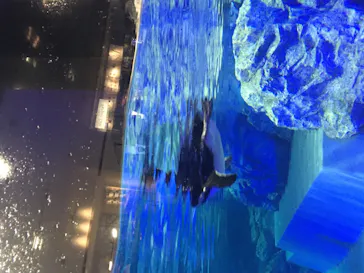 すみだ水族館に投稿された画像（2023/6/19）
