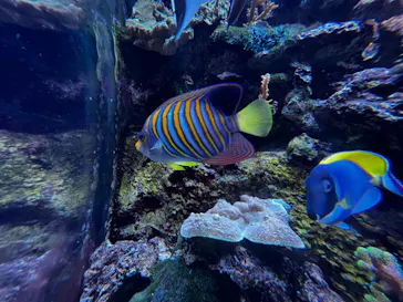 マクセル アクアパーク品川に投稿された画像（2023/6/19）