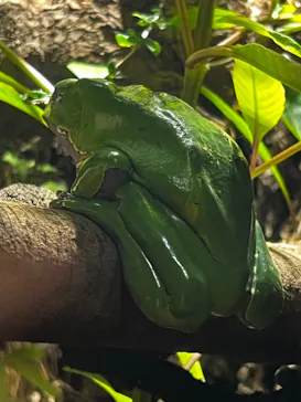 マクセル アクアパーク品川に投稿された画像（2023/6/19）