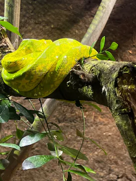 マクセル アクアパーク品川に投稿された画像（2023/6/19）