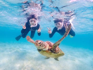 nico 宮古島に投稿された画像（2023/6/19）