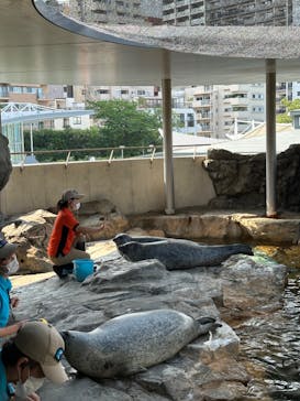しながわ水族館に投稿された画像（2023/6/19）