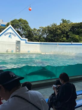 しながわ水族館に投稿された画像（2023/6/19）
