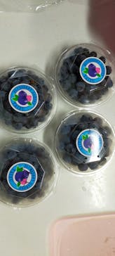 ブルーベリーガーデンやいづに投稿された画像（2023/6/19）