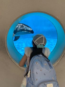 マリンワールド海の中道に投稿された画像（2023/6/19）