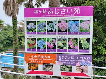 ニューヨークランプミュージアム＆フラワーガーデンに投稿された画像（2023/6/19）