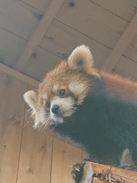 伊豆シャボテン動物公園に投稿された画像（2023/6/19）