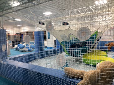 スペースアスレチック トンデミ横須賀 コースカベイサイドストアーズ店に投稿された画像（2023/6/19）