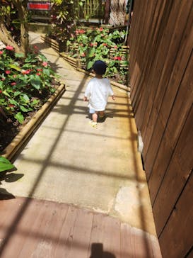 ナゴパイナップルパークに投稿された画像（2023/6/19）