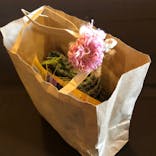 SAORI豊崎長屋に投稿された画像（2023/6/19）