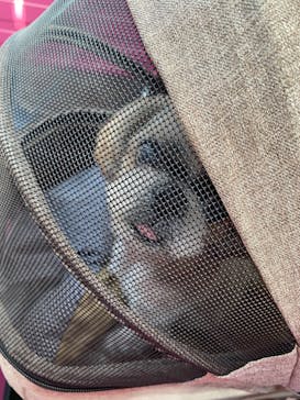 かんざんじロープウェイに投稿された画像（2023/6/19）