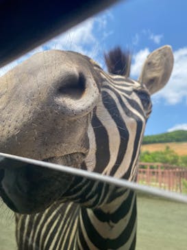 東北サファリパークに投稿された画像（2023/6/19）