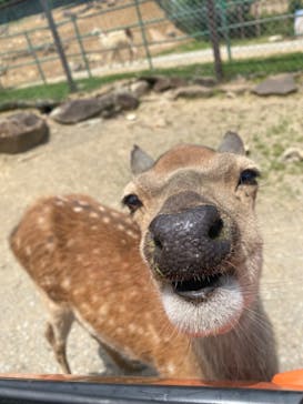 東北サファリパークに投稿された画像（2023/6/19）