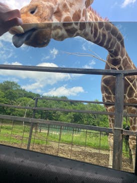 東北サファリパークに投稿された画像（2023/6/19）