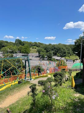 日本モンキーパークに投稿された画像（2023/6/19）