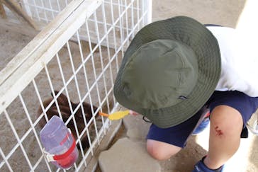 NESTA RESORT KOBE（ネスタリゾート神戸）に投稿された画像（2023/6/19）