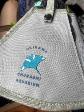 沖縄美ら海水族館に投稿された画像（2023/6/20）