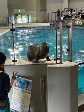 登別マリンパークニクスに投稿された画像（2023/6/20）