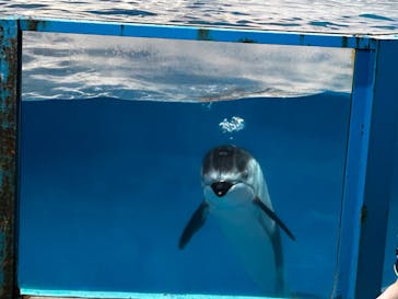 登別マリンパークニクスに投稿された画像（2023/6/20）