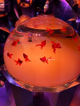 登別マリンパークニクスに投稿された画像（2023/6/20）