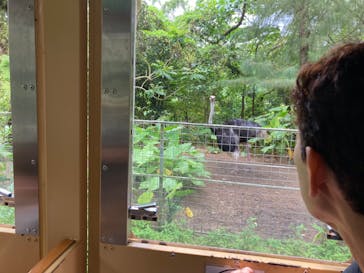 ネオパークオキナワに投稿された画像（2023/6/20）