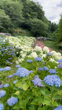 わんダフルネイチャーヴィレッジに投稿された画像（2023/6/20）