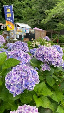 わんダフルネイチャーヴィレッジに投稿された画像（2023/6/20）