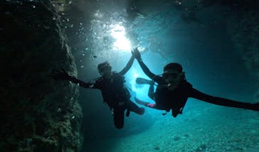 DIVING-SHOP SUNSに投稿された画像（2023/6/20）