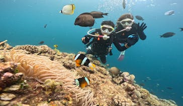 DIVING-SHOP SUNSに投稿された画像（2023/6/20）