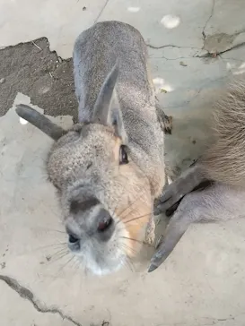 横浜・八景島シーパラダイスに投稿された画像（2023/6/20）