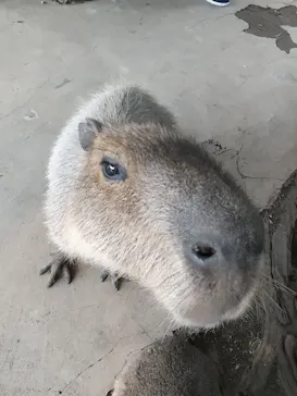 横浜・八景島シーパラダイスに投稿された画像（2023/6/20）