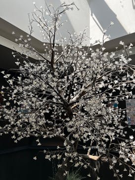 三田天然温泉　寿ノ湯に投稿された画像（2023/6/20）