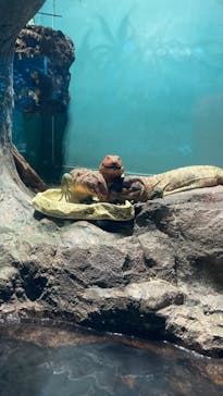 サンシャイン水族館に投稿された画像（2023/6/20）