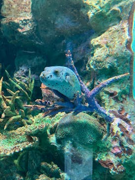 サンシャイン水族館に投稿された画像（2023/6/20）