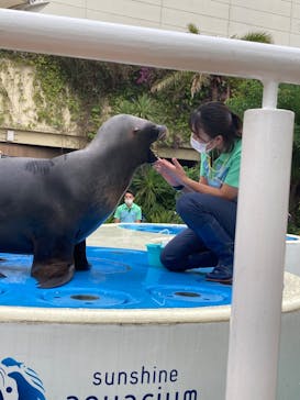サンシャイン水族館に投稿された画像（2023/6/20）