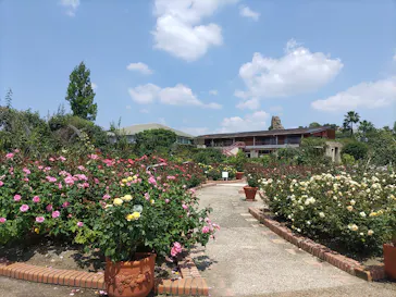 ひらかたパークに投稿された画像（2023/6/20）