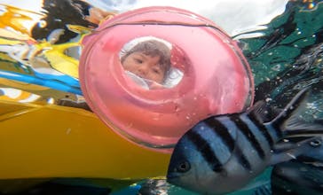 青の洞窟専門店　沖縄ダイビングショップ和に投稿された画像（2023/6/20）