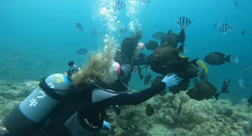 武藤潜水に投稿された画像（2023/6/20）