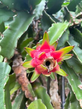 おきなわワールドに投稿された画像（2023/6/20）