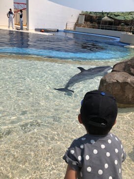 大分マリーンパレス水族館 「うみたまご」に投稿された画像（2023/6/20）