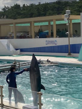 鴨川シーワールドに投稿された画像（2023/6/20）