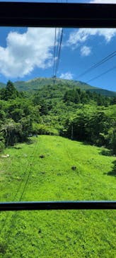 箱根駒ケ岳ロープウェーに投稿された画像（2023/6/20）