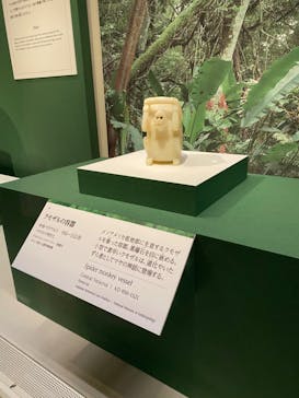 特別展「古代メキシコーマヤ、アステカ、テオティワカン」に投稿された画像（2023/6/20）