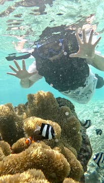 宮古島 ADVENTURE PiPi（ミヤコジマ アドベンチャー ピピ）に投稿された画像（2023/6/20）