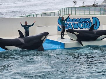鴨川シーワールドに投稿された画像（2023/6/20）