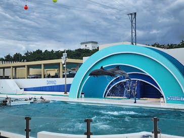 鴨川シーワールドに投稿された画像（2023/6/20）