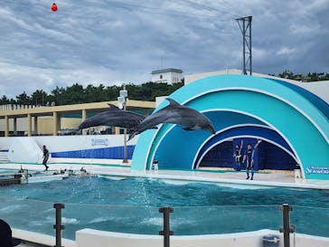 鴨川シーワールドに投稿された画像（2023/6/20）