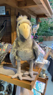 神戸どうぶつ王国に投稿された画像（2023/6/20）