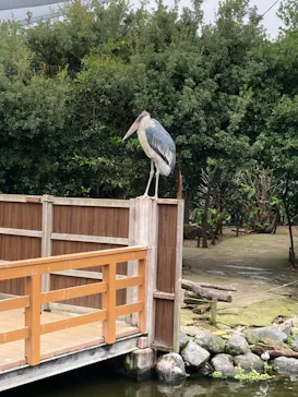 神戸どうぶつ王国に投稿された画像（2023/6/20）