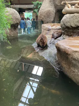 神戸どうぶつ王国に投稿された画像（2023/6/20）